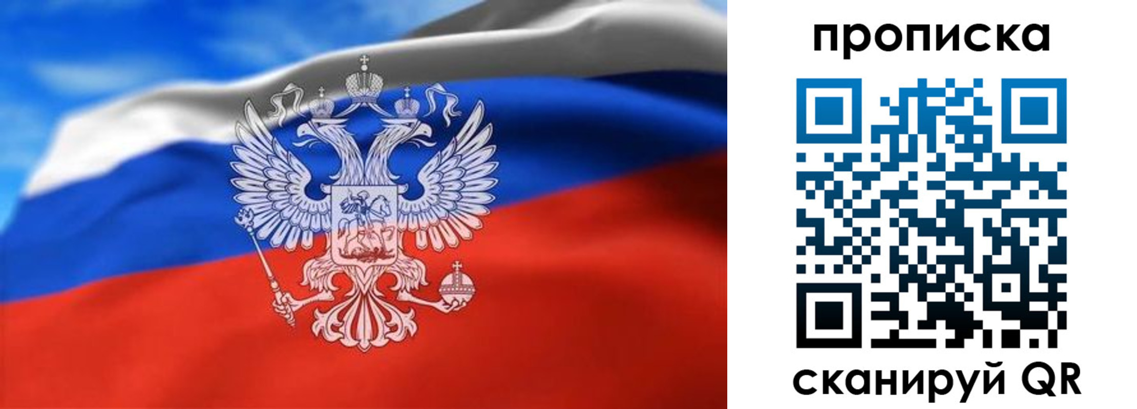 временная регистрация гарантия в Щиграх