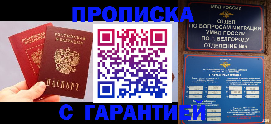 прописка 2025 в Щиграх